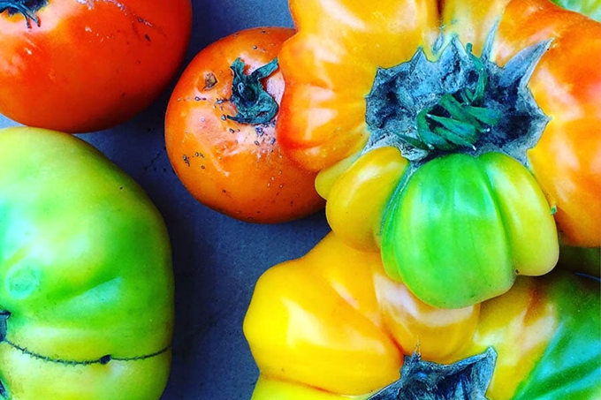 The Organic Farm（有机餐厅） dining美食的图片集（ 有机餐、定制 ），印度洋三大明珠马尔代夫,瓦卡鲁|瓦卡库岛|小白马 Vakkaru Maldives