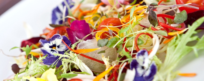 伊露岛|伊露富士 THE SUN SIYAM IRU FUSHI ,dining时间( 19:00 - 22:00 )美食攻略 Flavours(法国餐厅) ,方便大家选岛(海岸线假期一级代理提供),海岛马尔代夫maldives