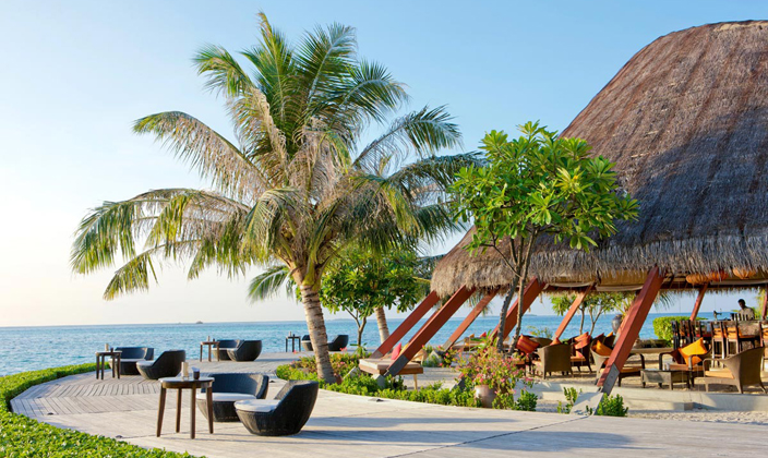 The Island Bar（酒吧） dining美食的图片集（ 各色美酒 ），印度洋三大明珠马尔代夫,丽世岛|原狄娃岛 LUX* SOUTH Maldives