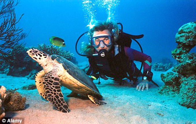 丽世岛|原狄娃岛 LUX* SOUTH Maldives, 娱乐活动（海岛maldives）介绍,网球及高尔夫