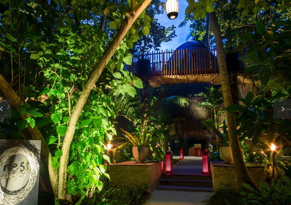 尼亚玛 Niyama Maldives,dining时间( 18:30 -22:30 )美食攻略 NEST（亚洲餐厅） ，方便大家选岛（海岸线假期一级代理提供），海岛马尔代夫maldives