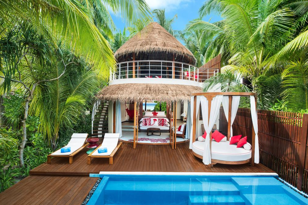 Wonderful Beach Oasis-奇妙海滩绿洲  房型图片及房间装修风格(W岛|宁静岛 W Retreat)海岛马尔代夫 