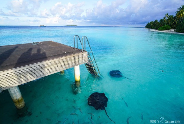 娱乐活动(马尔代夫)介绍,阿雅达岛 Ayada Maldives,儿童乐园&结婚照&浮潜&健身房