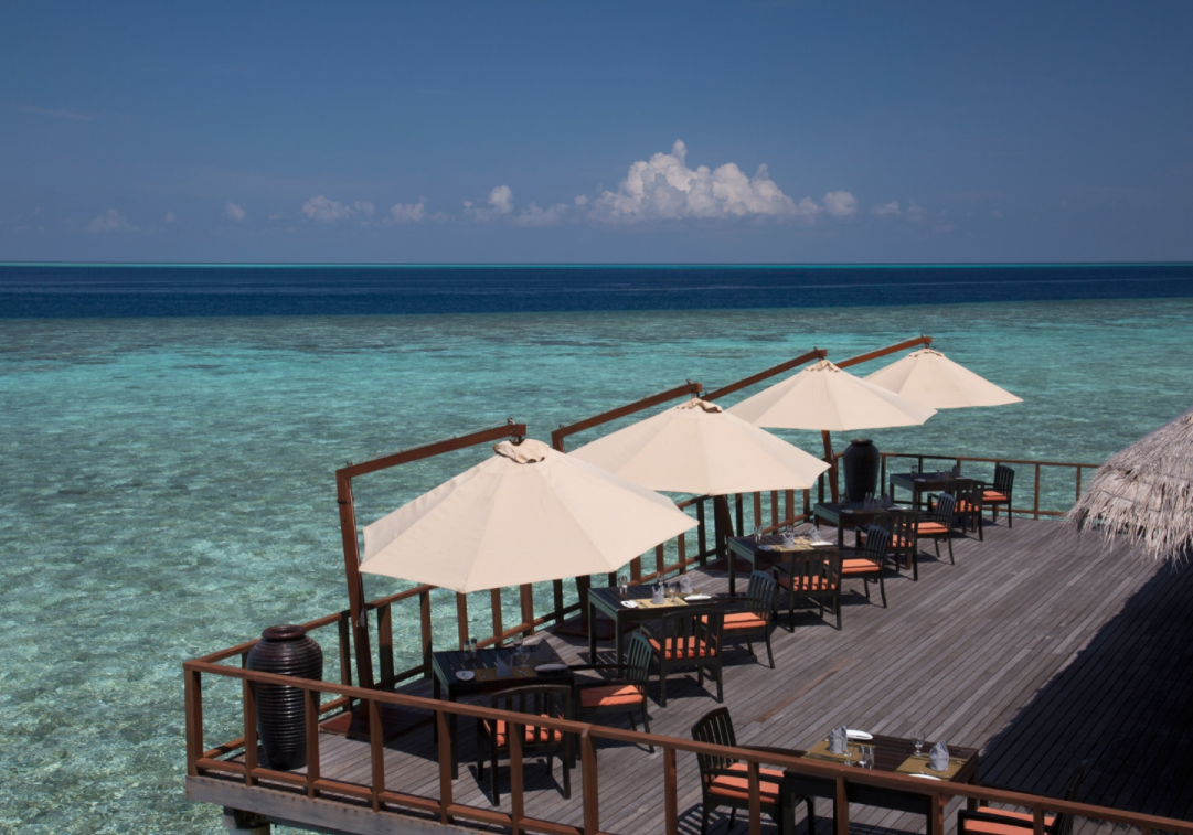 Stars（国际餐厅） dining美食的图片集（ 地中海和当代亚洲风味 ），印度洋三大明珠马尔代夫,波杜希蒂岛|可可棕榈岛 Coco Palm Bodu Hithi