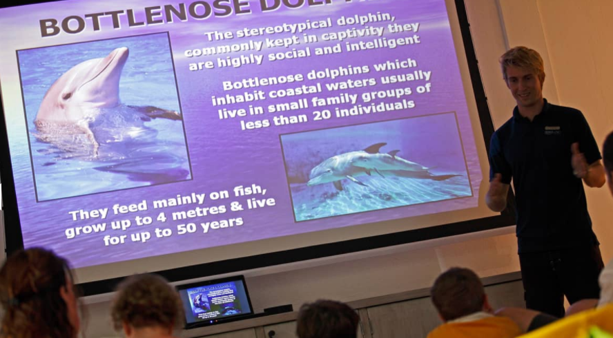 小四季|四季库达呼拉 Fourseasons Kuda, 娱乐活动（海岛maldives）介绍,网球及高尔夫