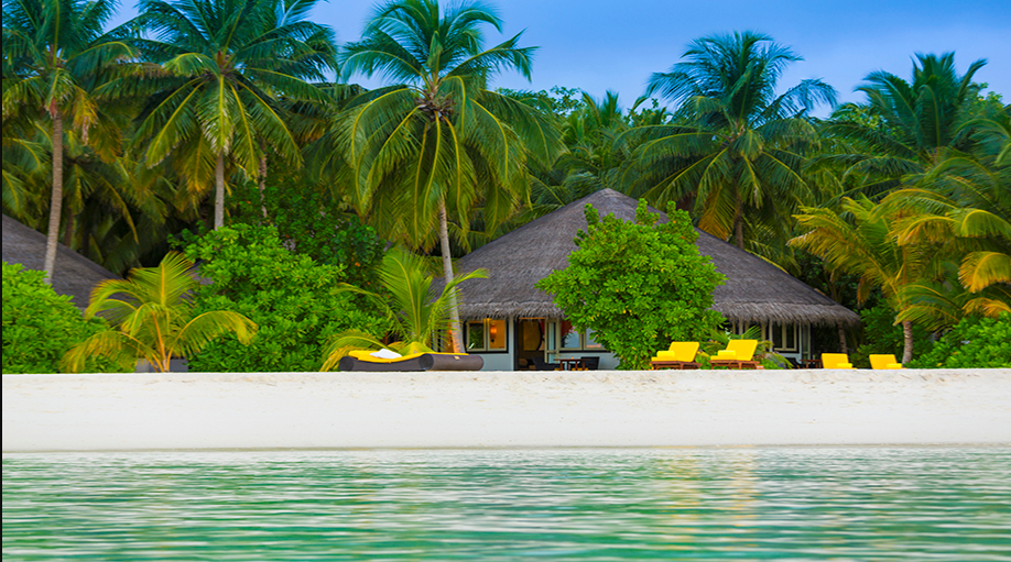 Beachfront Villa-海滨别墅  房型图片及房间装修风格(薇拉瓦鲁岛|AV岛|海龟岛 Angsana velavaru)海岛马尔代夫 