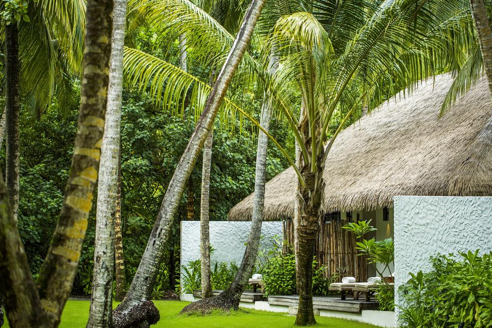 房型内部设施图片参考，如无边泳池与电视及音响， 花园客房-Garden Rooms maldievs(玛丽富士 COMO Maalifushi) 