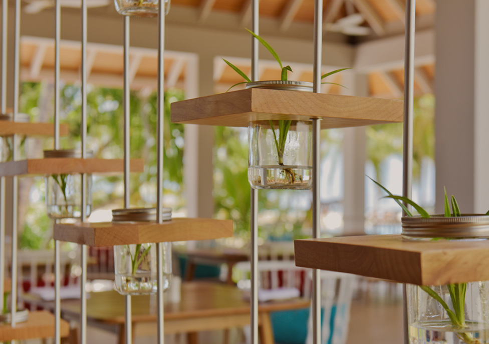 迪加尼|戴加利岛 Dhigali Maldives,dining时间( 10:00-18:00,19:00-22:00 )美食攻略 Jade(亚洲餐厅) ,方便大家选岛(海岸线假期一级代理提供),海岛马尔代夫maldives