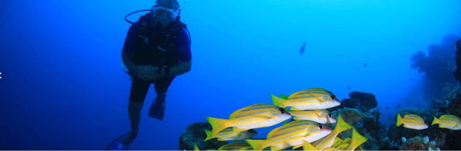 蜜月岛|美禄岛 Meeru Maldives, 娱乐活动（海岛maldives）介绍,网球及高尔夫