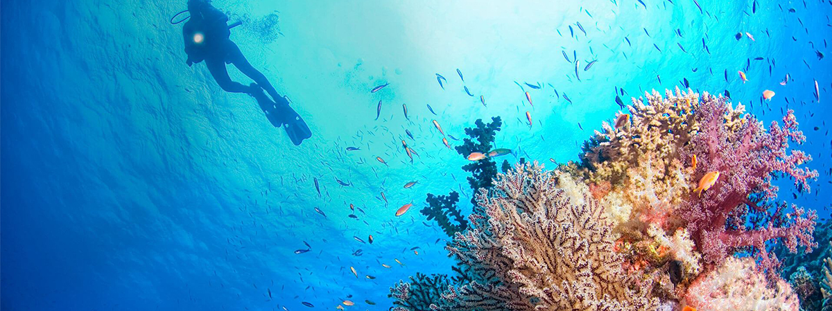 娇丽岛 Joali Maldives, 娱乐活动（海岛maldives）介绍,网球及高尔夫