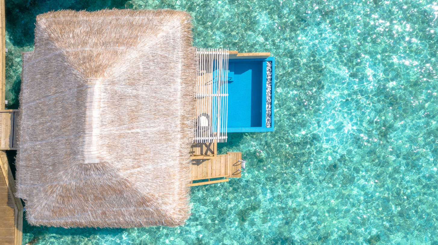 Dolphin Villas with Pool-海豚泳池别墅  房型图片及房间装修风格(你与我 You & Me by Cocoon Maldives)海岛马尔代夫 