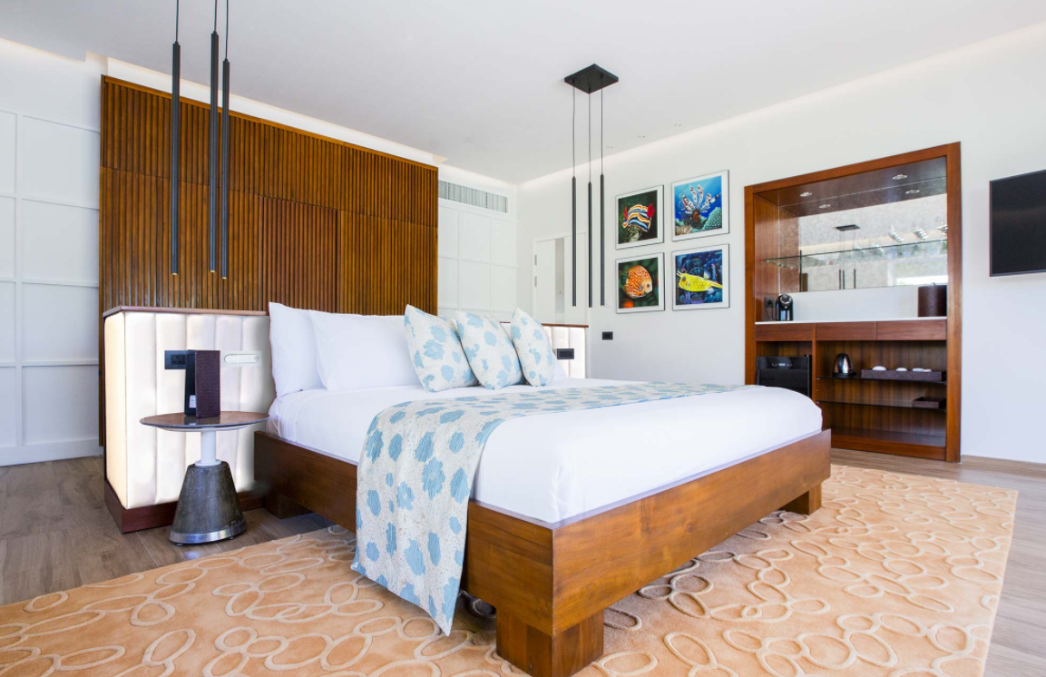 房型内部设施图片参考，如无边泳池与电视及音响， Beach Villa-海滩别墅  maldievs(翡翠岛 Emerald Maldives Resort and Spa) 