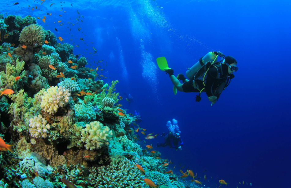 娱乐活动（马尔代夫）介绍，翡翠岛 Emerald Maldives Resort and Spa,儿童乐园&结婚照&浮潜&健身房