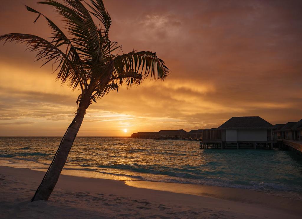 Water Villa Sunset-日落水上别墅 房型图片及房间装修风格(巴廖尼 Baglioni Resort Maldives)海岛马尔代夫
