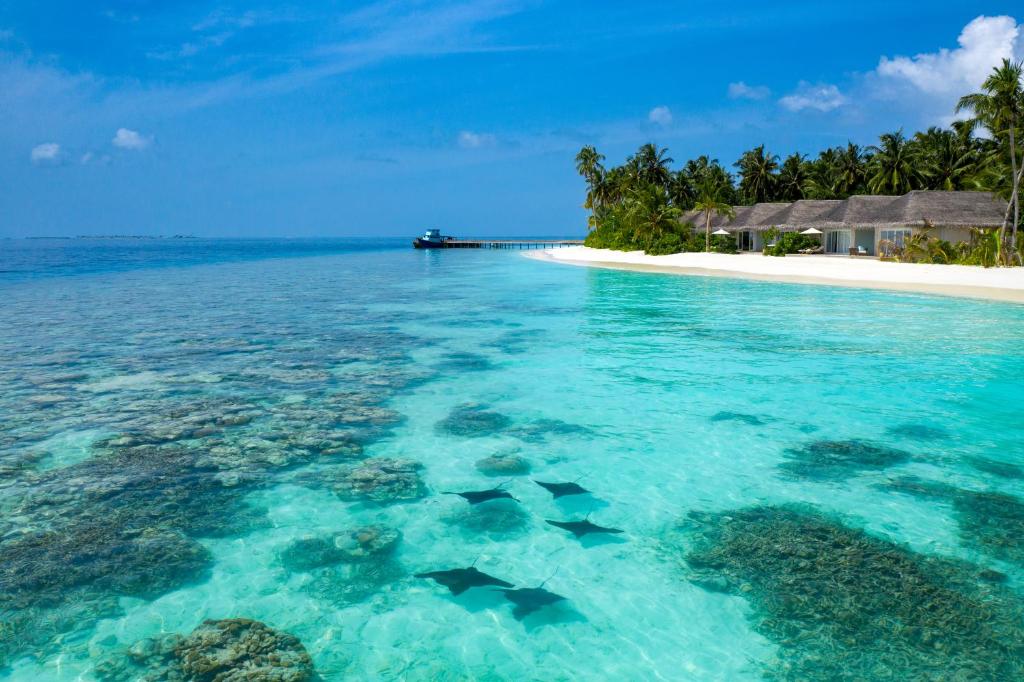 Beach Vila-沙滩别墅 房型图片及房间装修风格(巴廖尼 Baglioni Resort Maldives)海岛马尔代夫