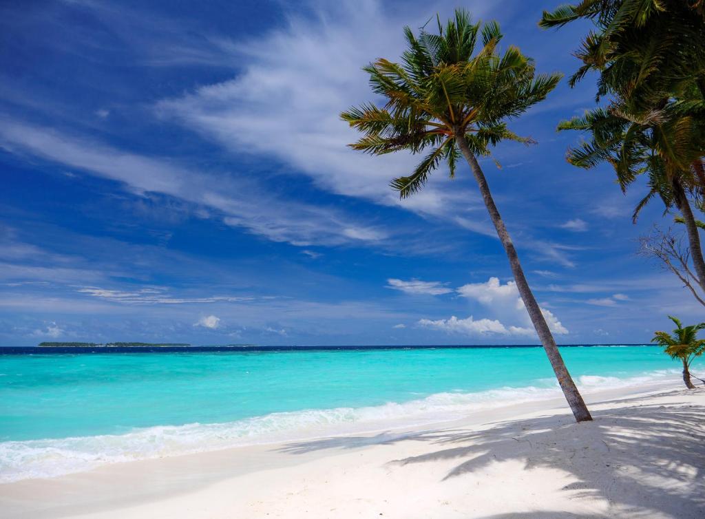 Pool Grand Beach Villa-豪华沙滩泳池别墅 房型图片及房间装修风格(巴廖尼 Baglioni Resort Maldives)海岛马尔代夫