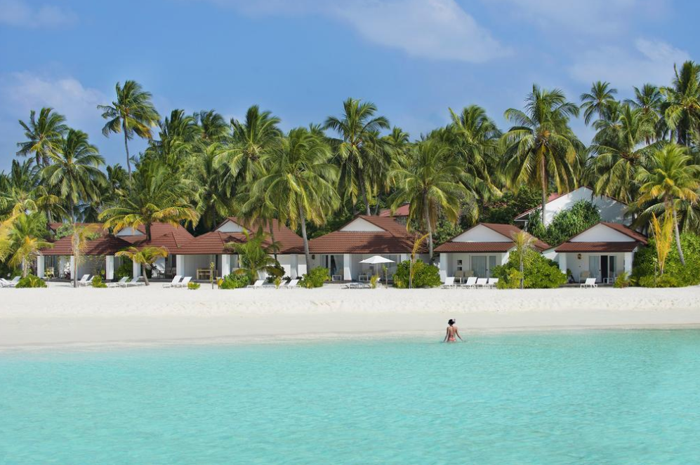 钻石泰达芙士岛 Diamonds Thudufushi ,马尔代夫风景图片集:沙滩beach与海水water太美，泳池pool与水上活动watersport好玩