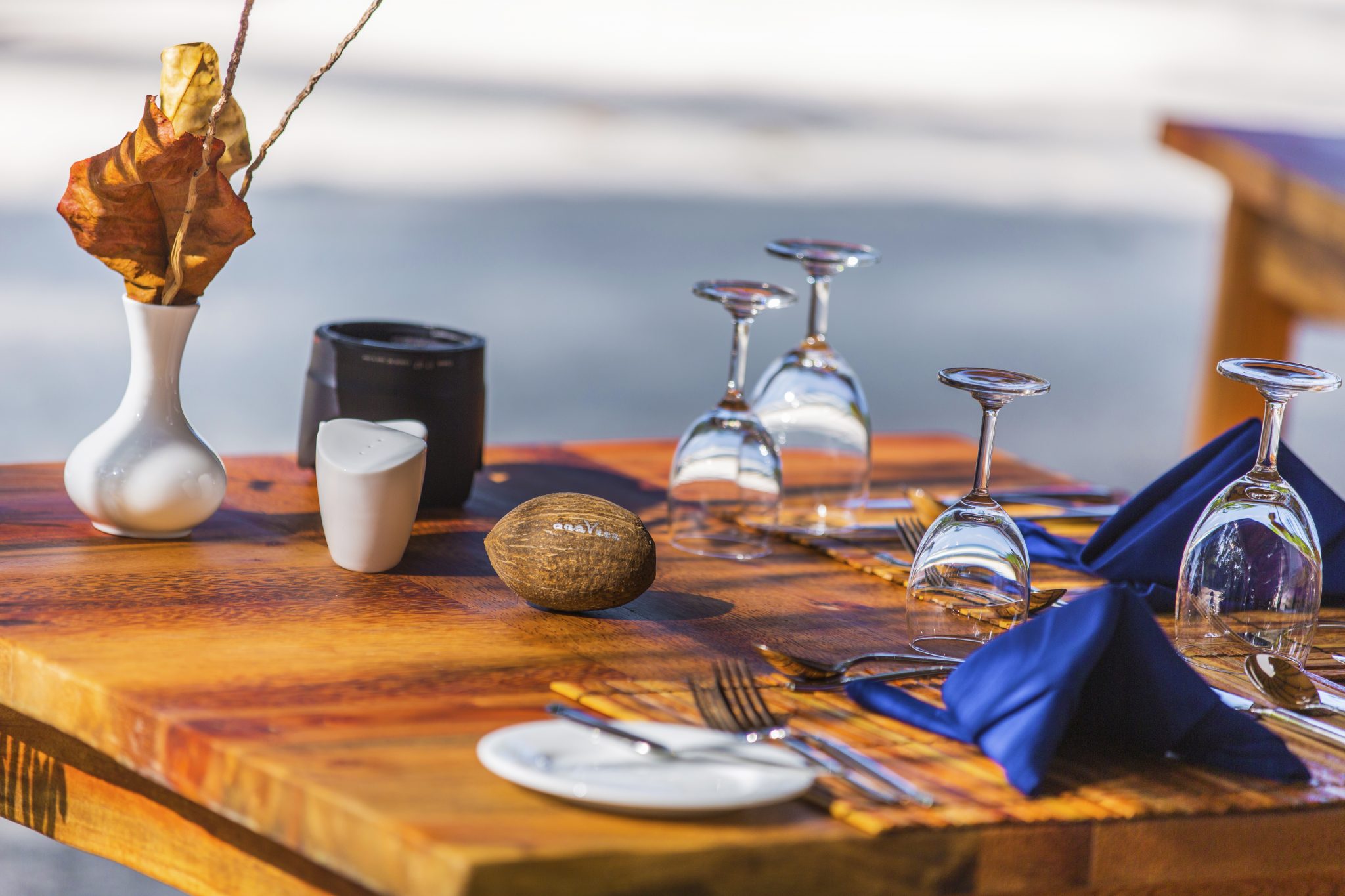 Varabadhi--特色餐厅 dining美食的图片集(  ),印度洋三大明珠马尔代夫,艾菲伊自然度假岛 AaaVeee Nature