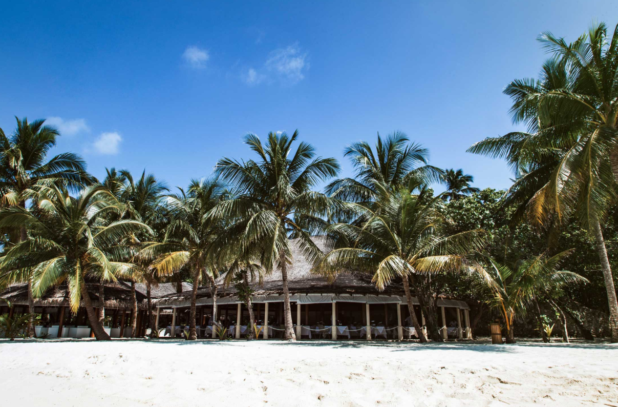 迪格瑞主餐厅--Digy main restaurant dining美食的图片集( 国际美食 ),印度洋三大明珠马尔代夫,迪格瑞岛 Dhiggiri Tourist Resort