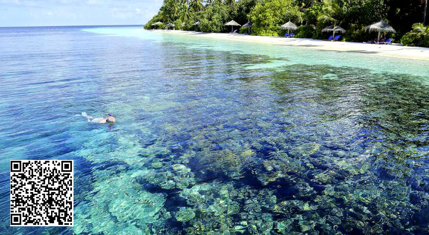 maldives攻略, 马尔代夫双岛游组合攻略(纯干货) -马尔代夫攻略-一级代理-海岸线假期官网