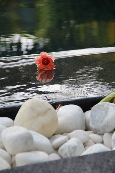 马尔代夫自助游图片