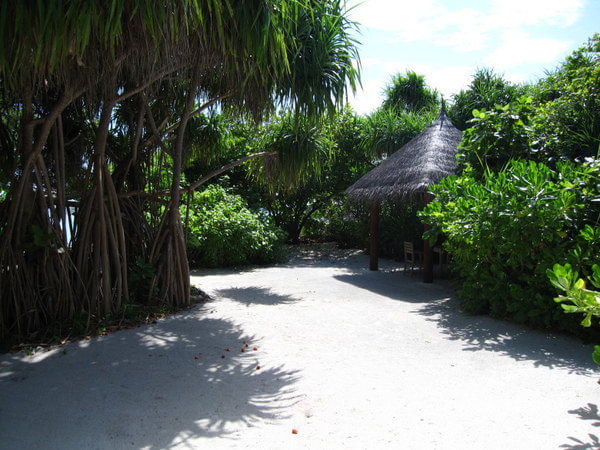 马尔代夫自助游图片 马尔代夫自助游图片