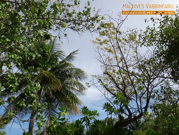 马尔代夫旅游攻略图片