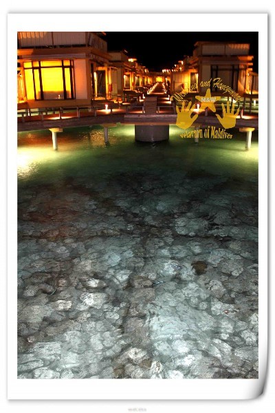 马尔代夫旅游攻略图片 马尔代夫旅游攻略图片