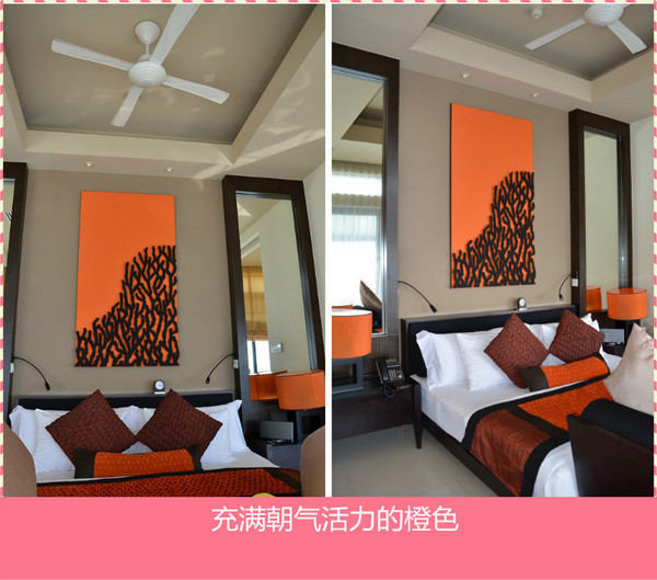 薇拉瓦鲁岛景点图片