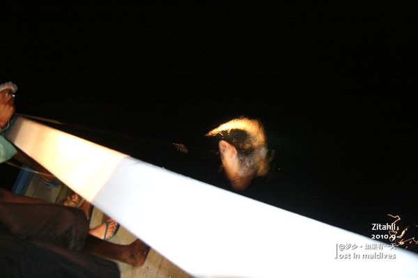 马尔代夫景点图片