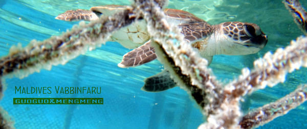 马尔代夫自助游图片 马尔代夫自助游图片