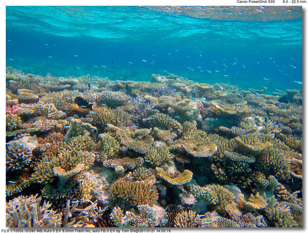 马尔代夫景点图片