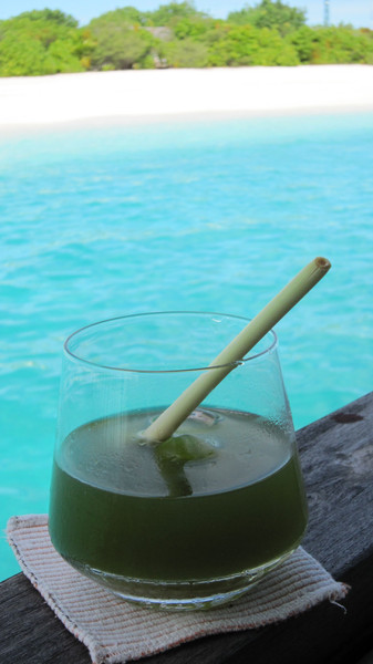 马尔代夫自助游图片