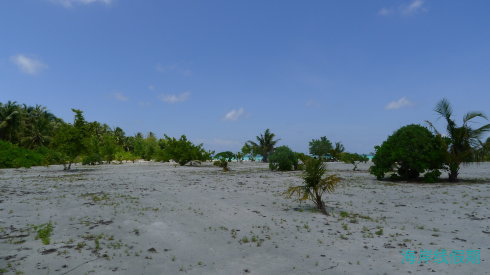 马尔代夫太阳岛全攻略,马尔代夫游记，海岸线假期