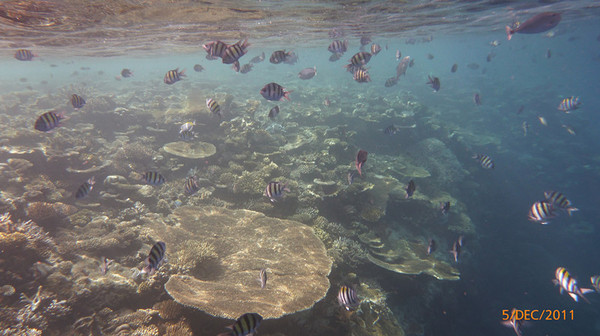马尔代夫景点图片