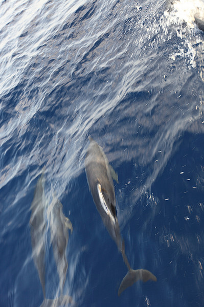 马尔代夫旅游攻略图片