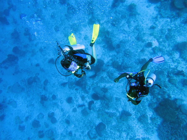 马尔代夫自助游图片