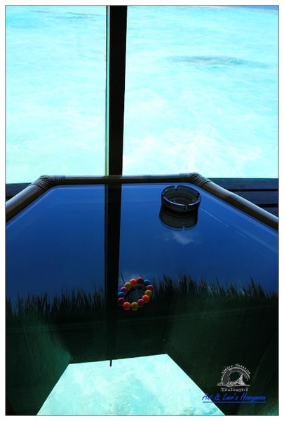 马尔代夫自助游图片