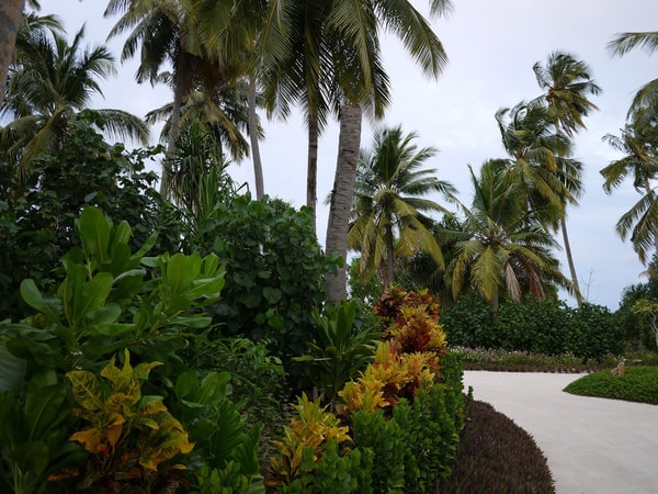 马尔代夫景点图片 马尔代夫景点图片