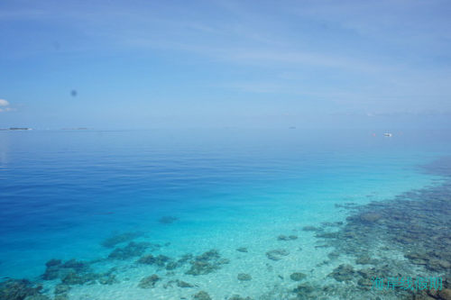 卓美亚的维塔维丽和德瓦納芙希,马尔代夫游记，海岸线假期
