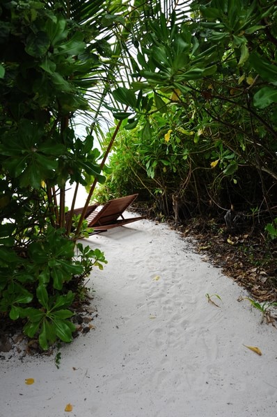 马尔代夫自助游图片