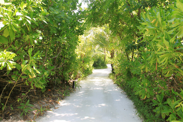 马尔代夫旅游攻略图片