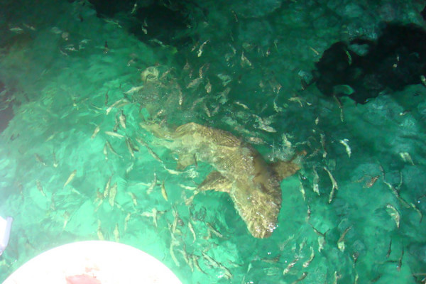 马尔代夫旅游攻略图片 马尔代夫旅游攻略图片