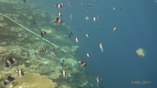 马尔代夫旅游攻略图片