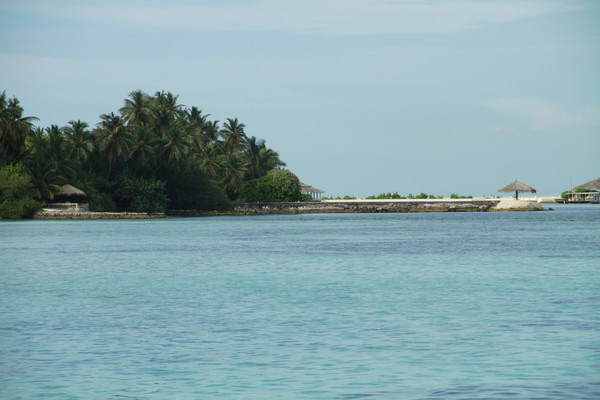 白金岛自助游图片