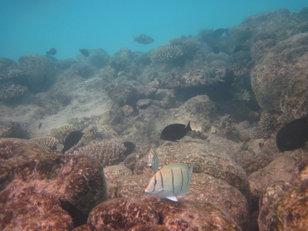 马尔代夫景点图片 马尔代夫景点图片