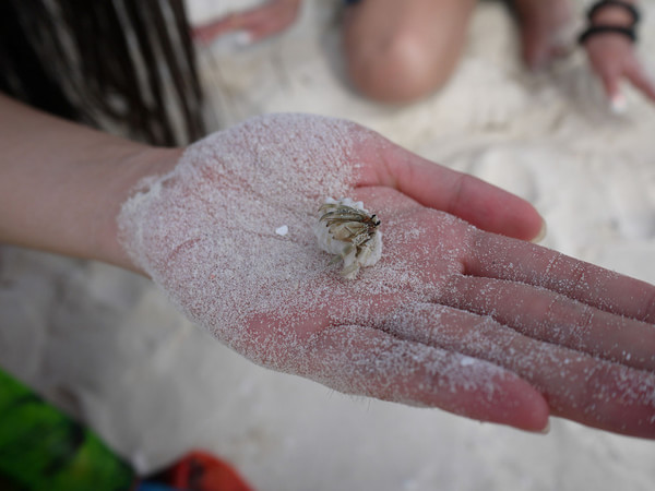 马尔代夫图片 马尔代夫图片