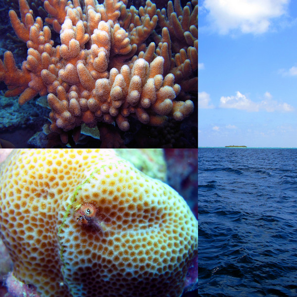 马尔代夫景点图片