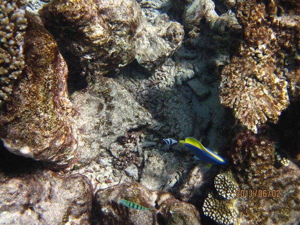 马尔代夫自助游图片