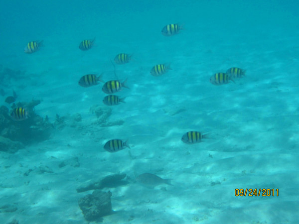 马尔代夫景点图片